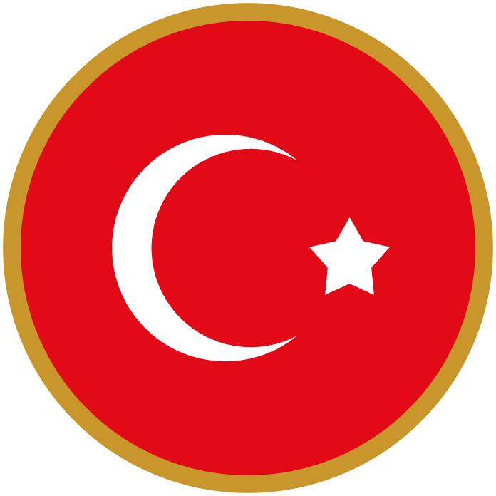 E-Visa Türkiye logo